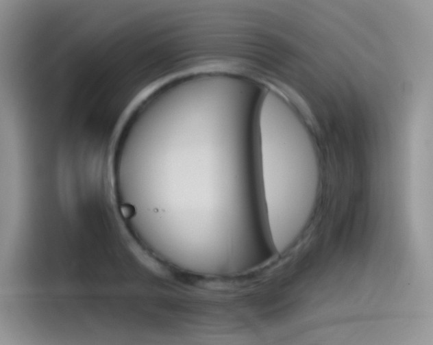 X0000114430792200910161031