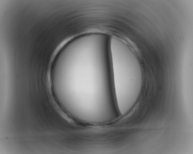 X0000114430796200910161031