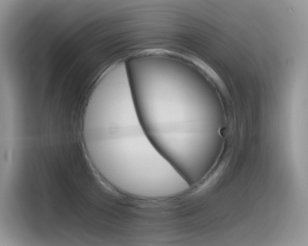 X0000114430801200910161031