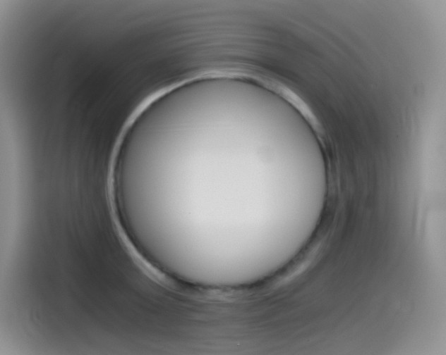X0000114430803200910161031