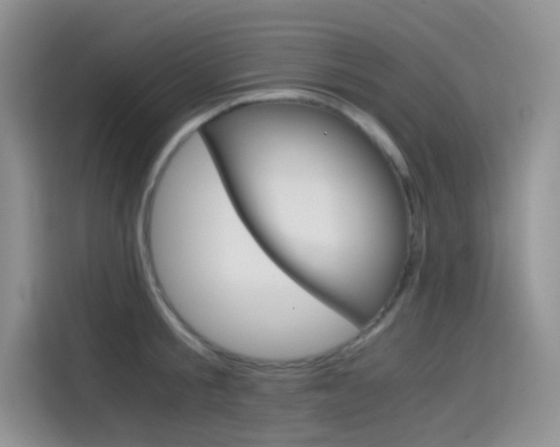 X0000114430805200910161031