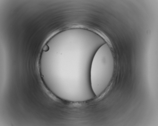 X0000114430806200910161031