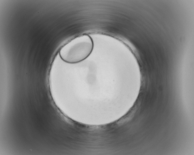 X0000114430807200910161031