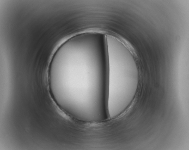 X0000114430808200910161031