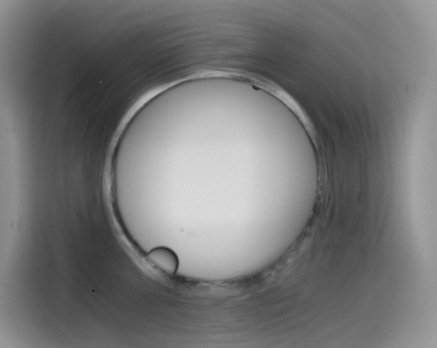 X0000114430811200910161031