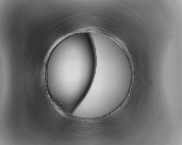 X0000114430816200910161031