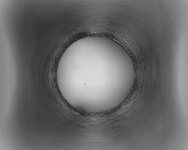 X0000114430817200910161030