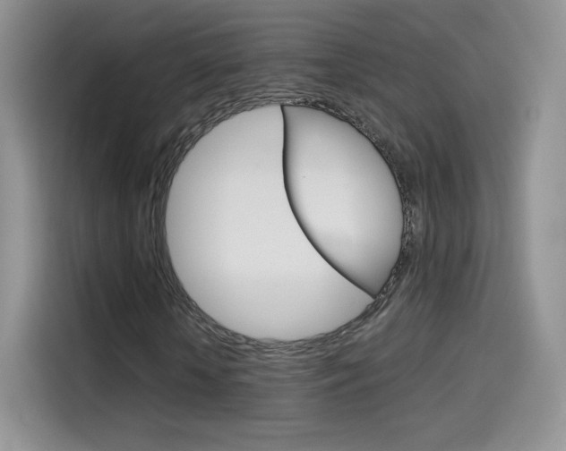 X0000114430818200910161030