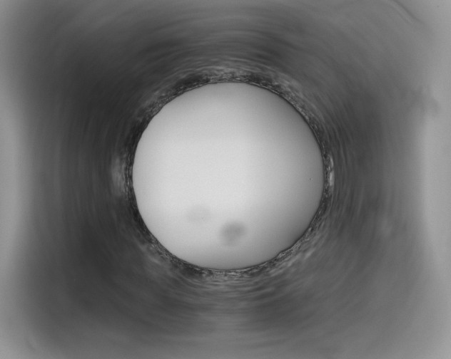 X0000114430819200910161030