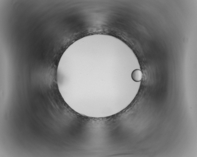 X0000114430820200910161030