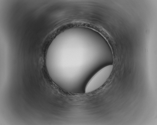 X0000114430821200910161030