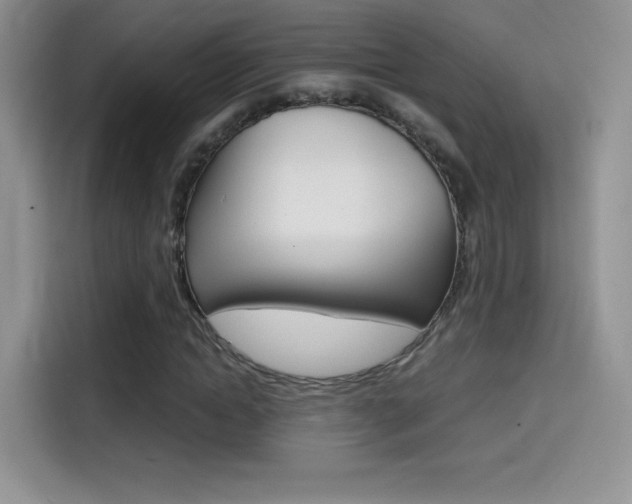 X0000114430822200910161030