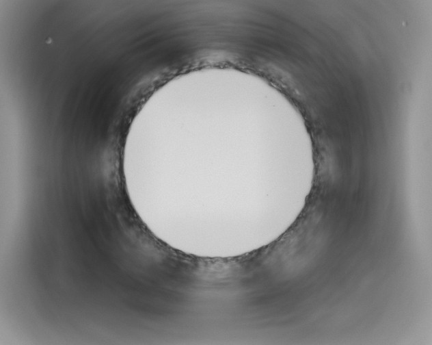 X0000114430824200910161030