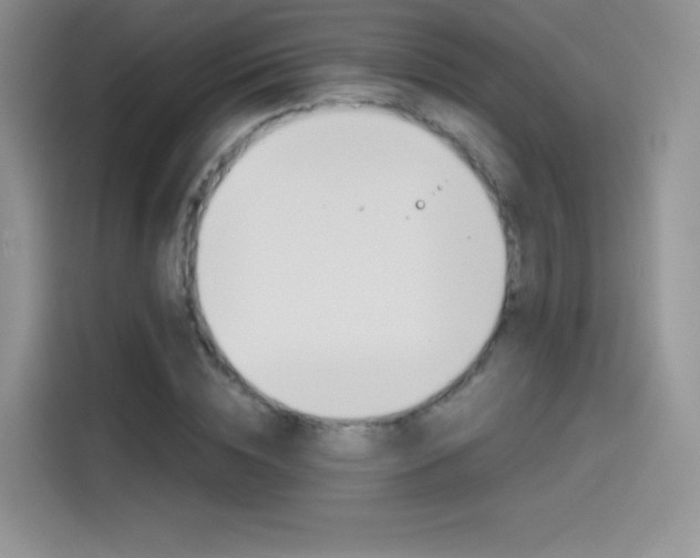 X0000114430828200910161030