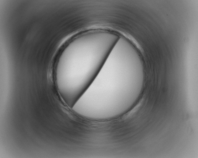 X0000114430830200910161030