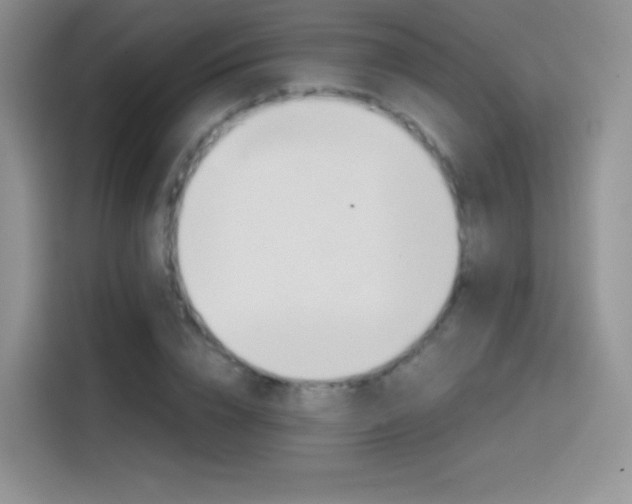 X0000114430832200910161030