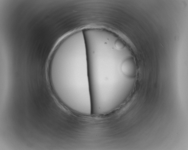 X0000114430838200910161030