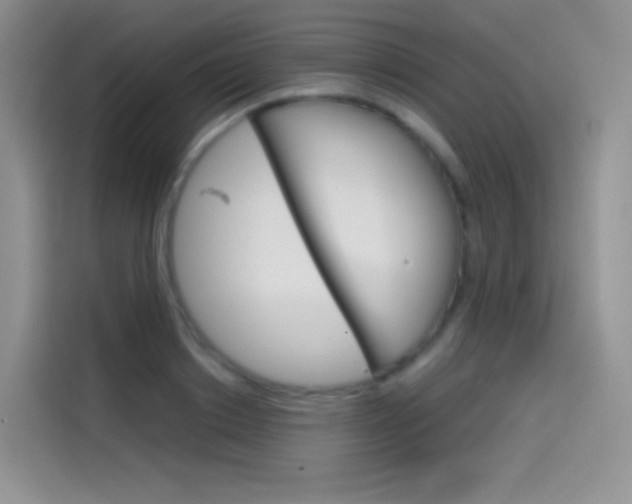 X0000114430842200910161030