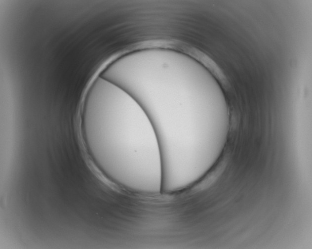 X0000114430844200910161030