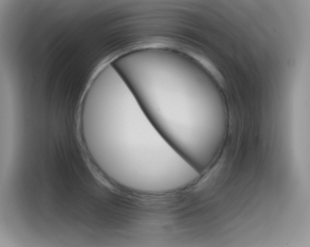 X0000114430850200910161030