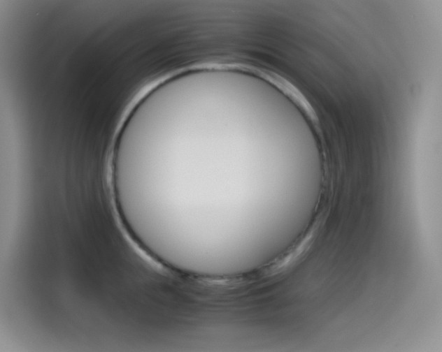 X0000114430855200910161030