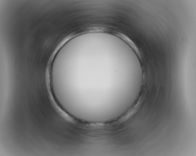 X0000114430859200910161030