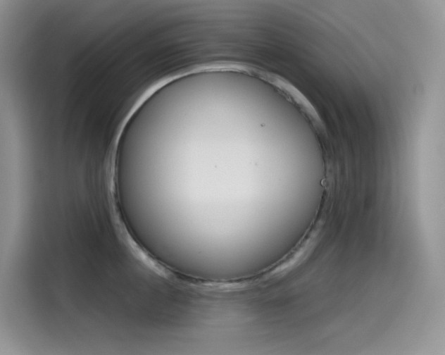 X0000114430860200910161031