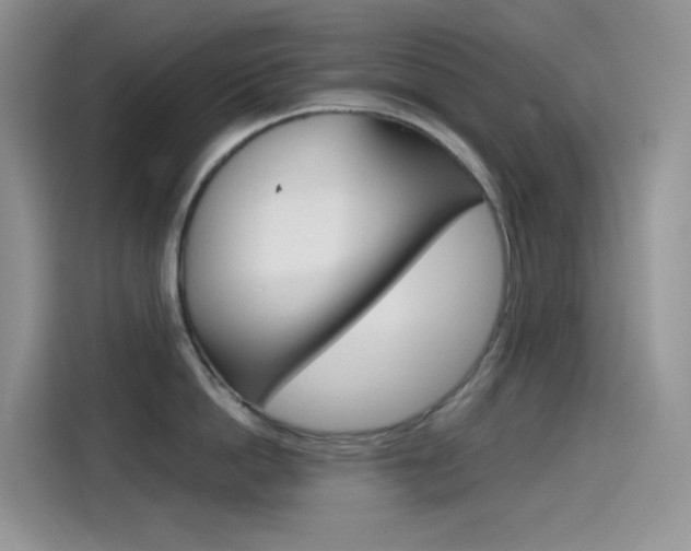 X0000114430862200910161031