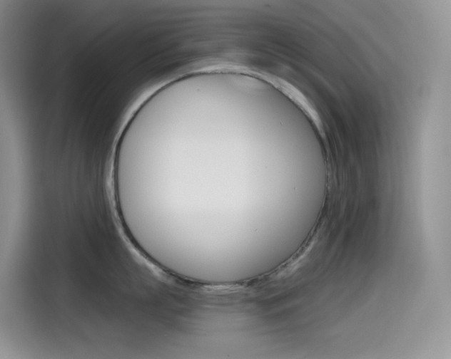 X0000114430863200910161031
