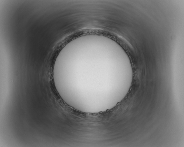 X0000114430870200910161030