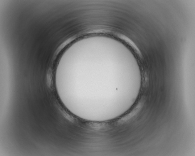 X0000114430874200910161030