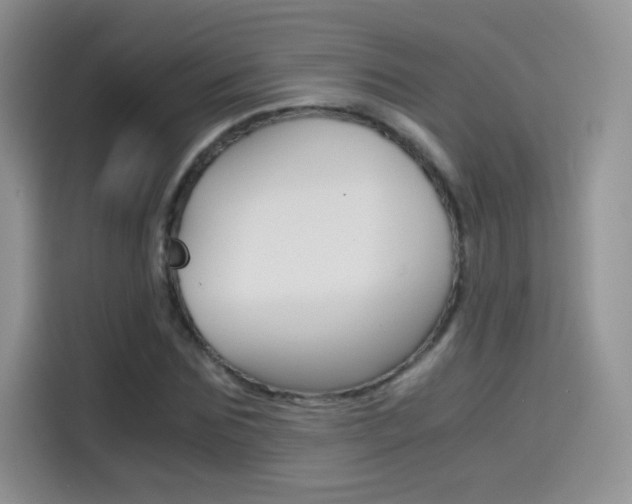 X0000114430875200910161030
