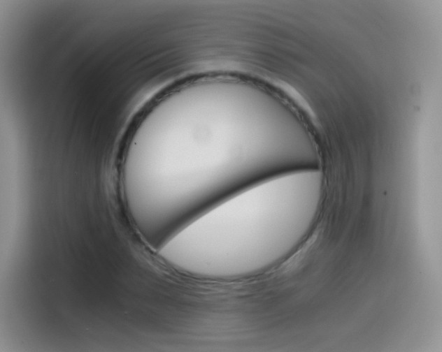 X0000114430879200910161030