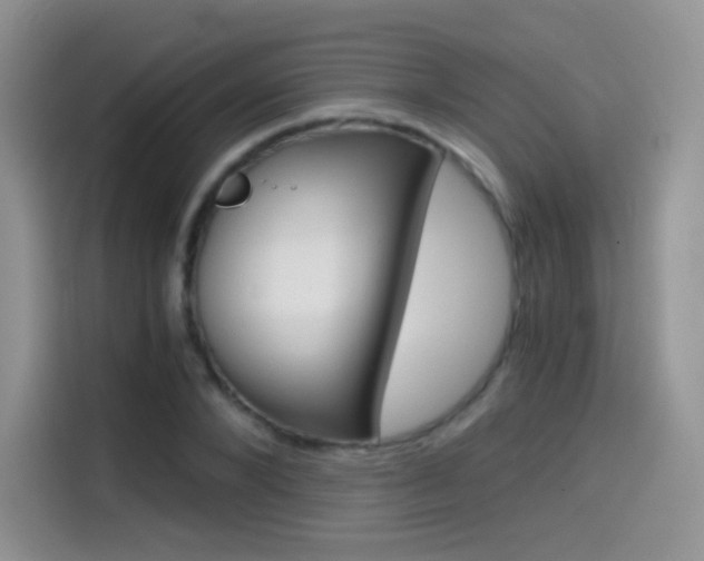 X0000114430880200910161030