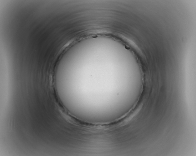 X0000114430881200910161030