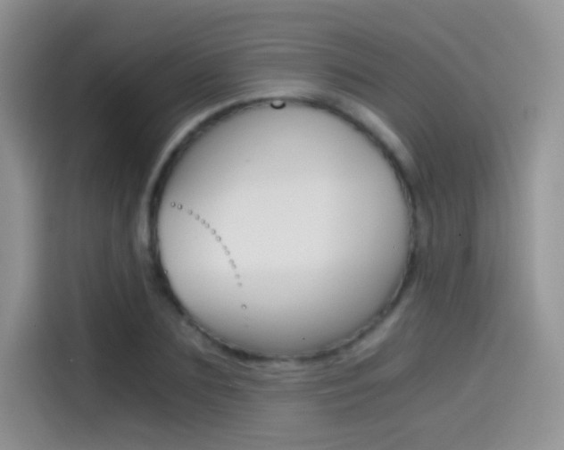 X0000114430883200910161030