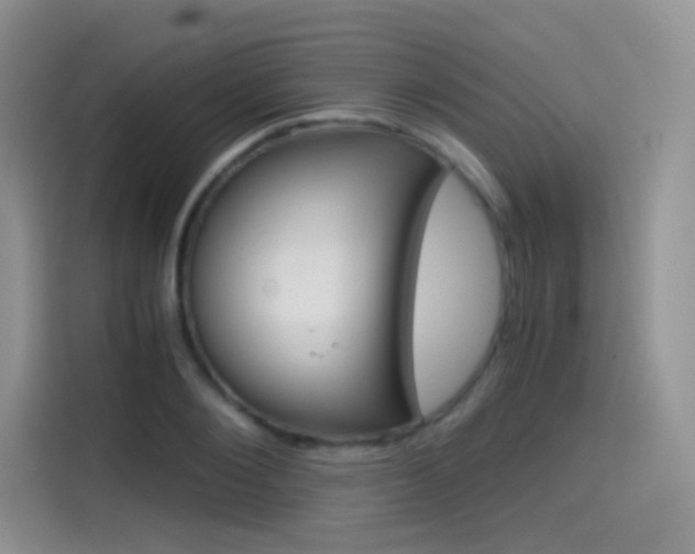 X0000114430884200910161030