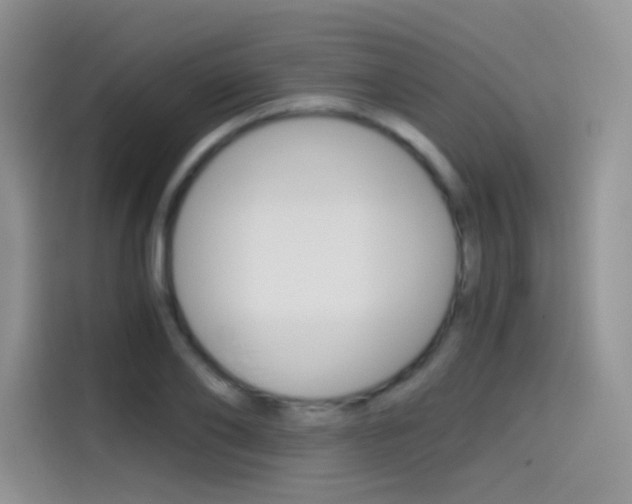 X0000114430886200910161030