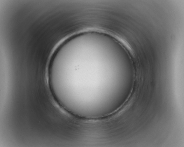 X0000114430888200910161030