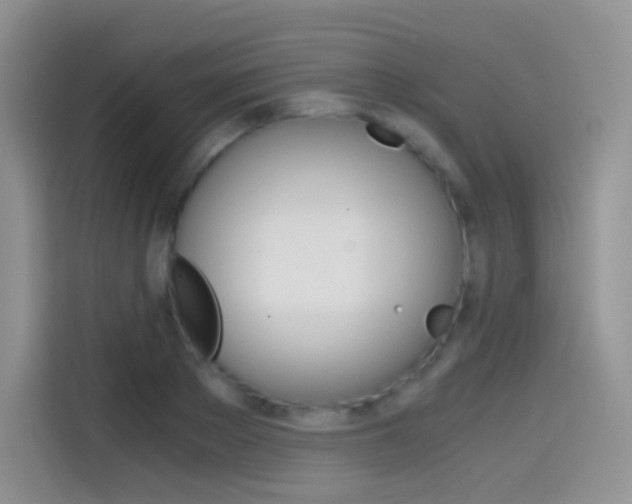 X0000114430889200910161030