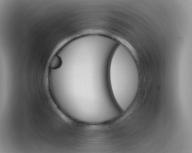 X0000114430894200910161030