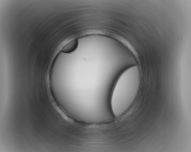 X0000114430898200910161030
