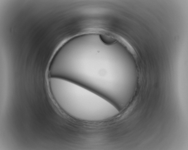 X0000114430899200910161029