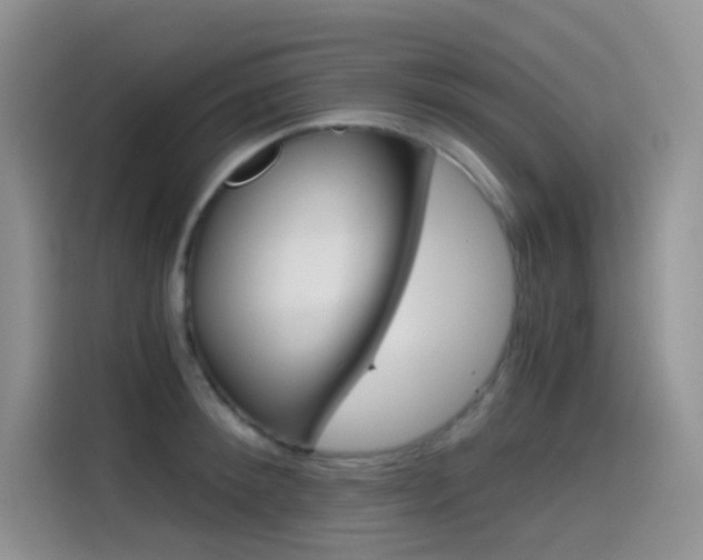 X0000114430900200910161029