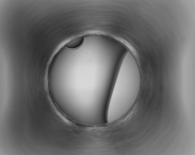 X0000114430902200910161029