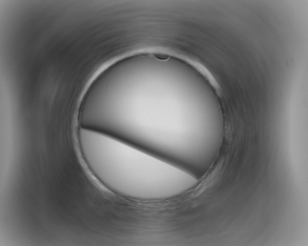 X0000114430903200910161029