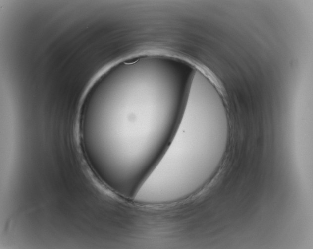 X0000114430904200910161029