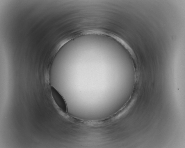 X0000114430905200910161029