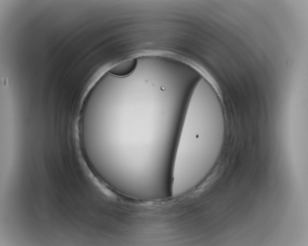X0000114430906200910161029
