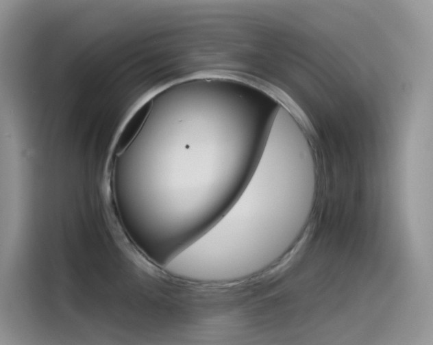 X0000114430908200910161029
